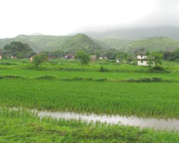 Lonavala Weather